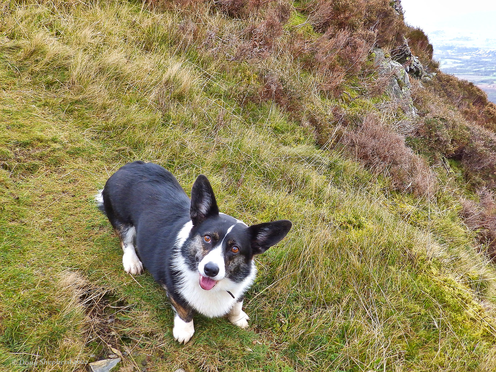 Becky in her element; she loved the fells of the Lake District.