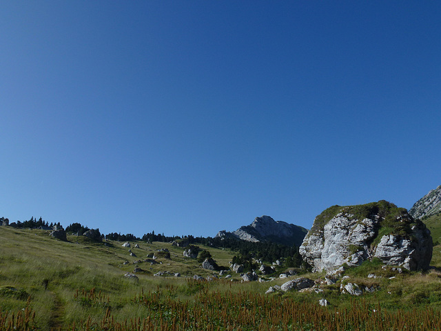 20150710 -15 Rando Spéléo St Pierre de Chartreuse (103)