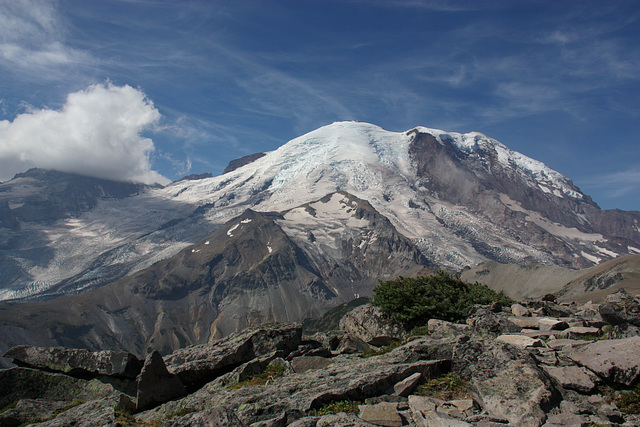 Mount Rainier