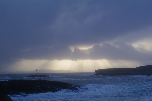 Shetland