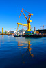 Crane reflections, DSME