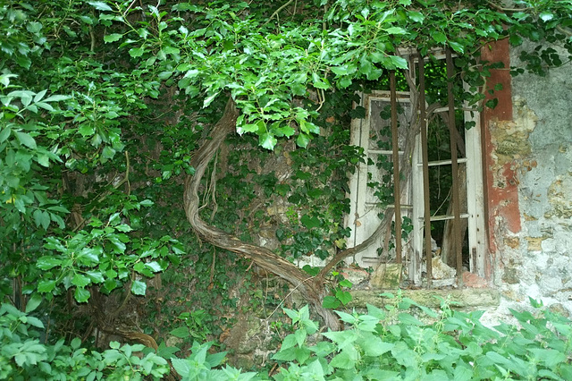 Anciennes dépendances du Désert de Retz