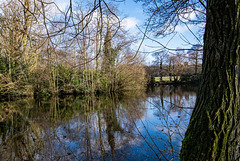 Burton mere