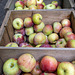 Apples, farmers market