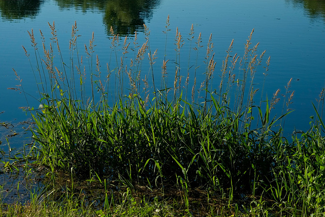 Wasser-Schwaden