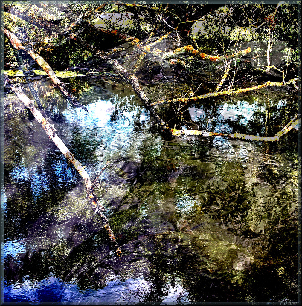 Water Fantasy