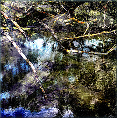 Water Fantasy