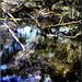 Water Fantasy
