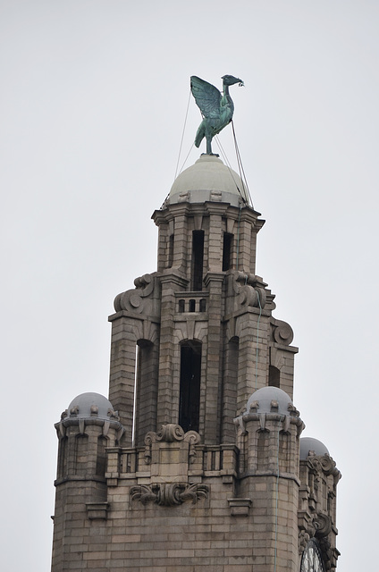 Liverpool, Liver Bird on the Top of Royal Liver Building