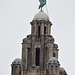 Liverpool, Liver Bird on the Top of Royal Liver Building