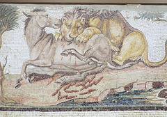 Detail of the Lion Attacking an Onager Mosaic in the Getty Villa, June 2016