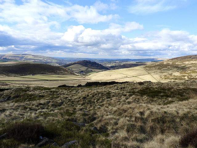 View West from the Hills