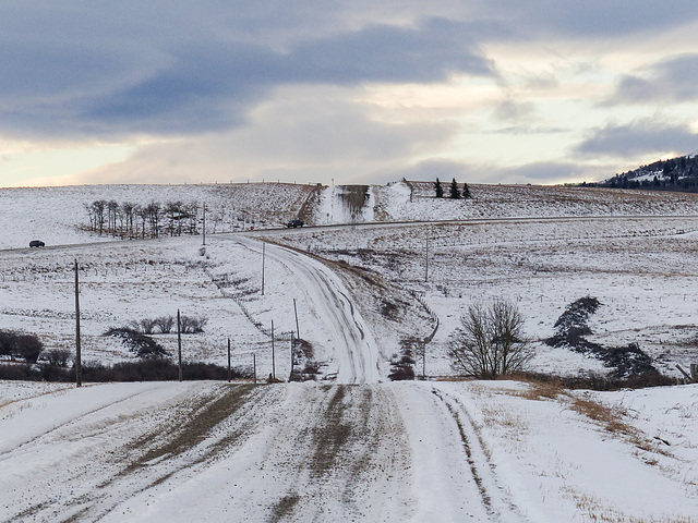 Rolling hills in winter