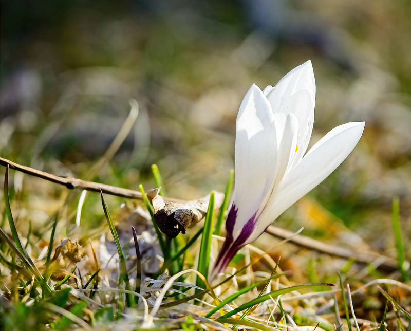 14.03.2022 20-DeNoiseAI-low-light