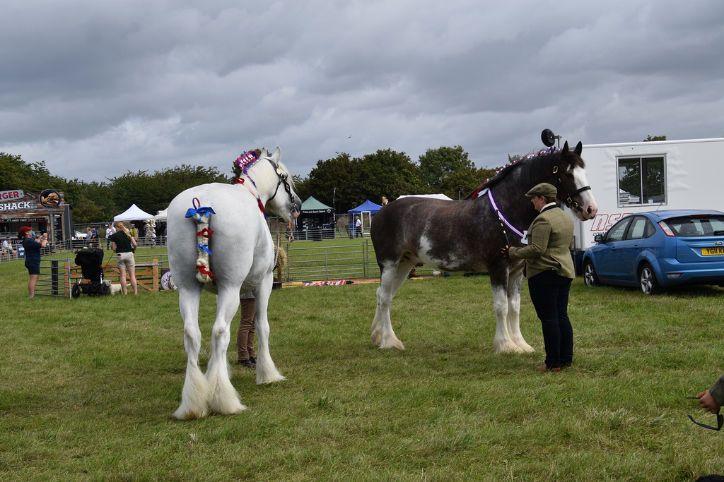 179thcasaug122023 (1140)