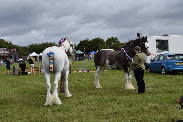 179thcasaug122023 (1140)