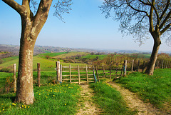 Plaines du Pays Basque