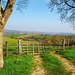 Plaines du Pays Basque