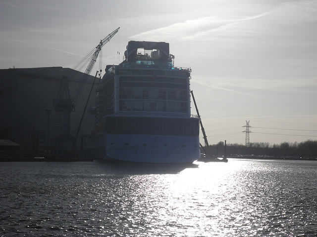 Anthem of  the  Seas