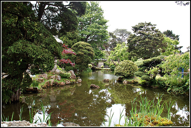 Japanese Tea Garden