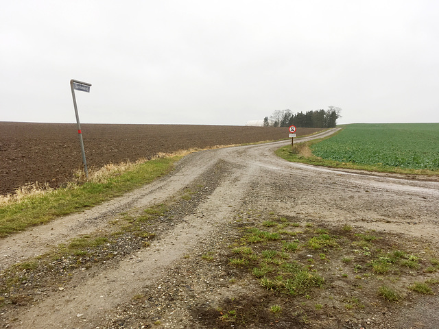 feldweg 0627