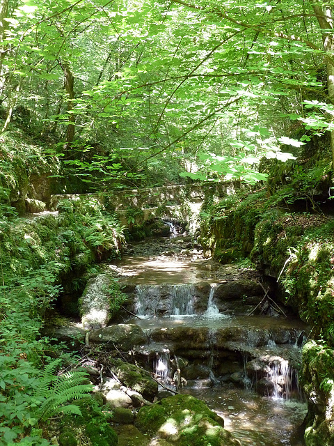 Waldlandschaft mit Verenabach Waldlandschaft mit Verenabach