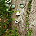 Alter Lindenbaum mit Gesicht