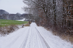 Winterlicher Feldweg