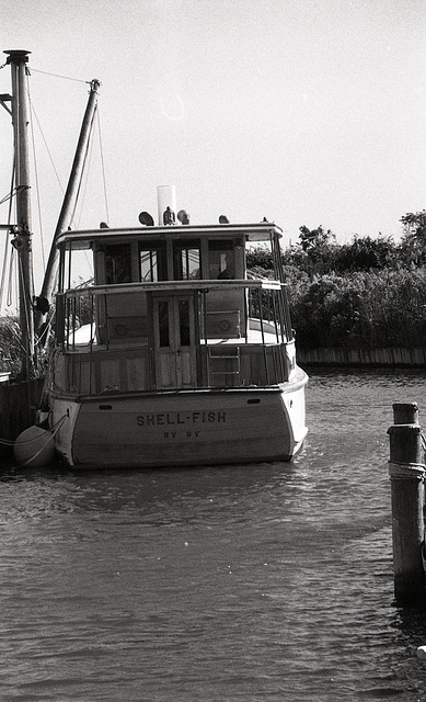 Yacht - rear view