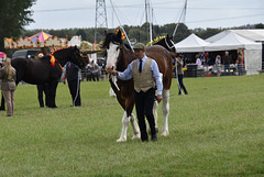 179thcasaug122023 (1141)