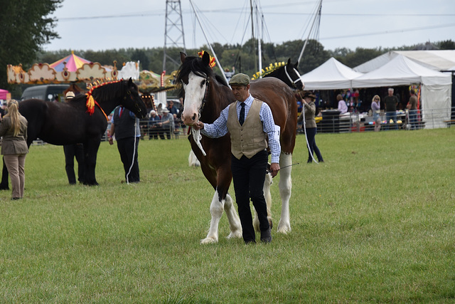 179thcasaug122023 (1141)