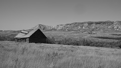 abandoned house in B&W