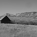 abandoned house in B&W