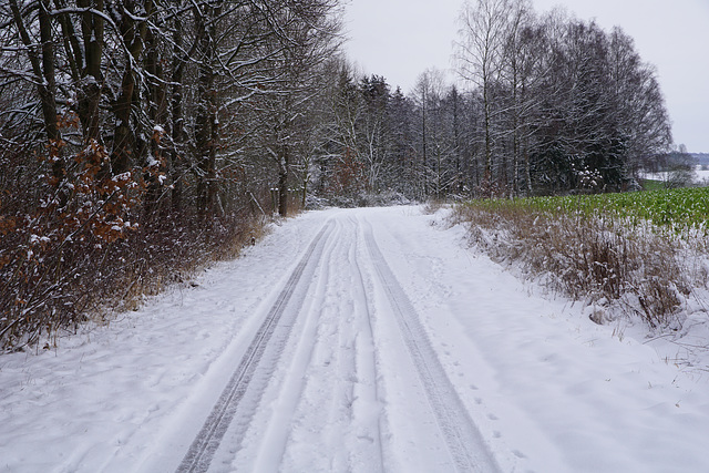 Winterlicher Feldweg