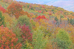 Mountain colors (Explored)