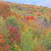 Mountain colors (Explored)