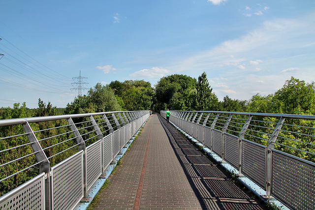 Erzbahnbrücke 6 (Bochum-Hordel) / 21.05.2018