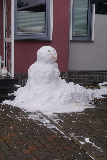 Nachbars Schneemenn