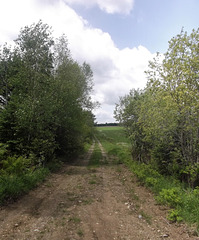 Une petite marche bienfaisante !