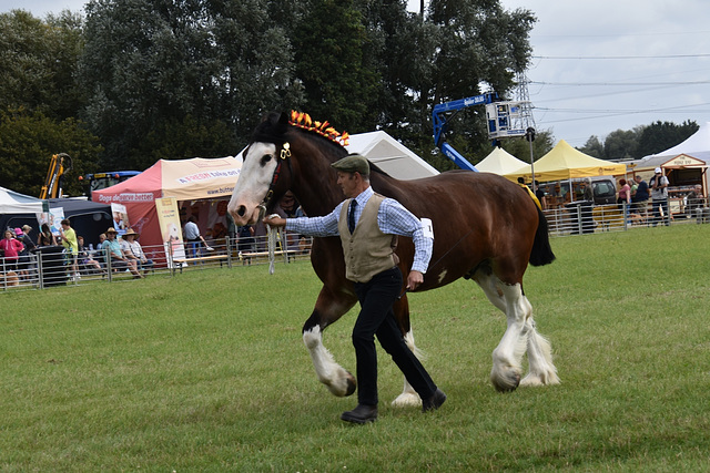 179thcasaug122023 (1143)