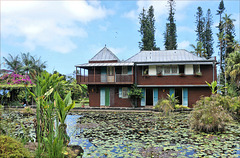 Saint-Leu (974, Ile de la Réunion) 6 novembre 2024. Mascarin, Jardin Botanique de la Réunion.