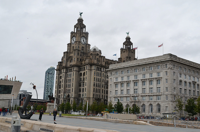 Liverpool Quay, Royal Liver Building and Cunard Building