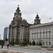 Liverpool Quay, Royal Liver Building and Cunard Building