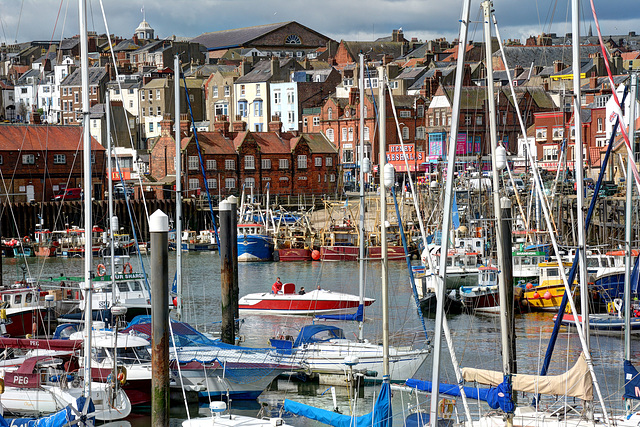 Scarborough Harbour revealed