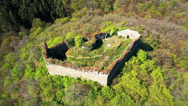 Ruine Rauschenberg