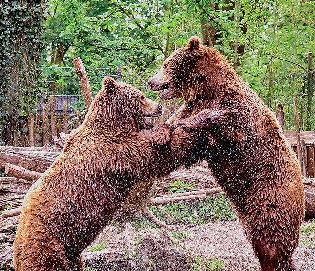 Tierpark Straubing