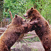 Tierpark Straubing