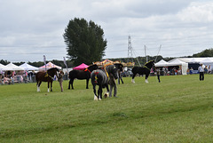 179thcasaug122023 (1144)