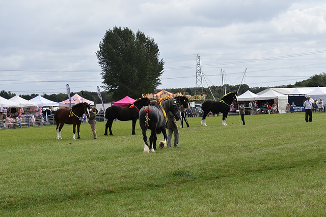 179thcasaug122023 (1144)