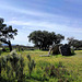 Valencia de Alcántara - Dolmen la Barca